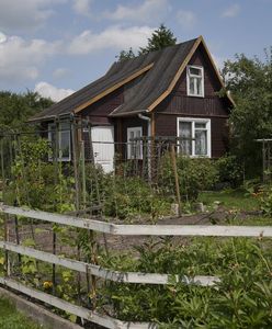 Precedensowy wyrok NSA. Działkowcy się ucieszą