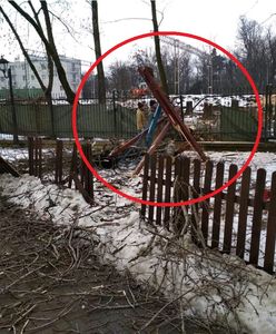 PKP wycina drzewa. Jedno runęło na plac zabaw. "Tam mogło się bawić moje dziecko"