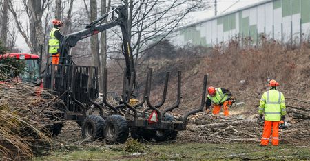 Wielka wycinka tysięcy drzew w Opolu. Rozżaleni ludzie mogą tylko patrzeć