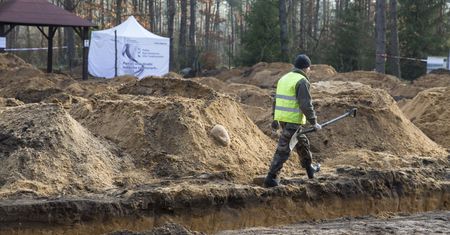 IPN odkrył szczątki ofiar nazistów w lesie pod Treblinką