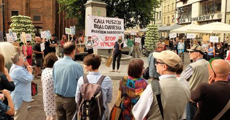 Toruń: protest przeciwko wycince drzew w Puszczy Białowieskiej