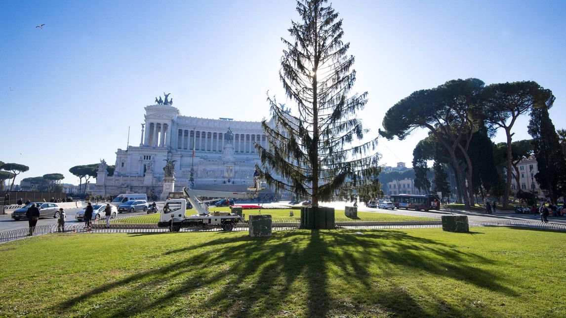 Choinka za 50 tys. euro może trafić do muzeum. Wcześniej wywołała skandal