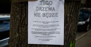 Łódź: aleja jesionów ma przestać istnieć. Wyciętych ma zostać ponad 70 przedwojennych drzew