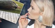 Maffashion przesadziła z choinką. Iglak nie zmieścił się w domu: "Trochę przesadziliśmy, tak ciut". Jak rozwiązała problem?