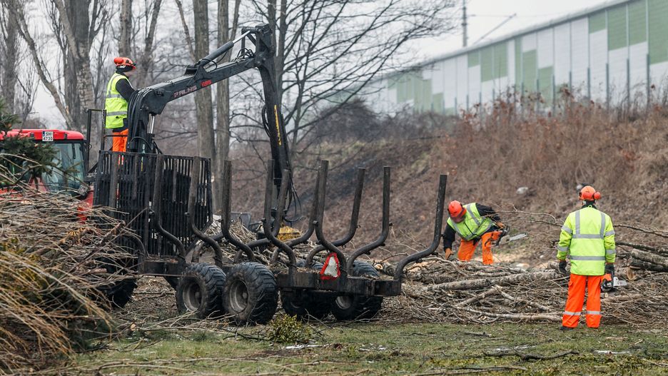 Wycinki związane są z modernizacją linii kolejowych w okolicach Opola (zdjęcie ilustracyjne)