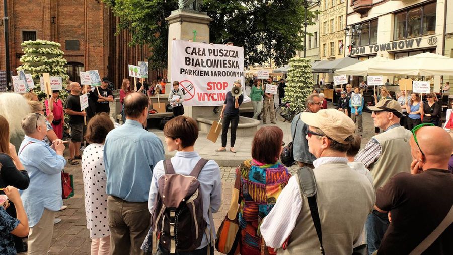 Protest w Toruniu pod hasłem "Stop wycince"