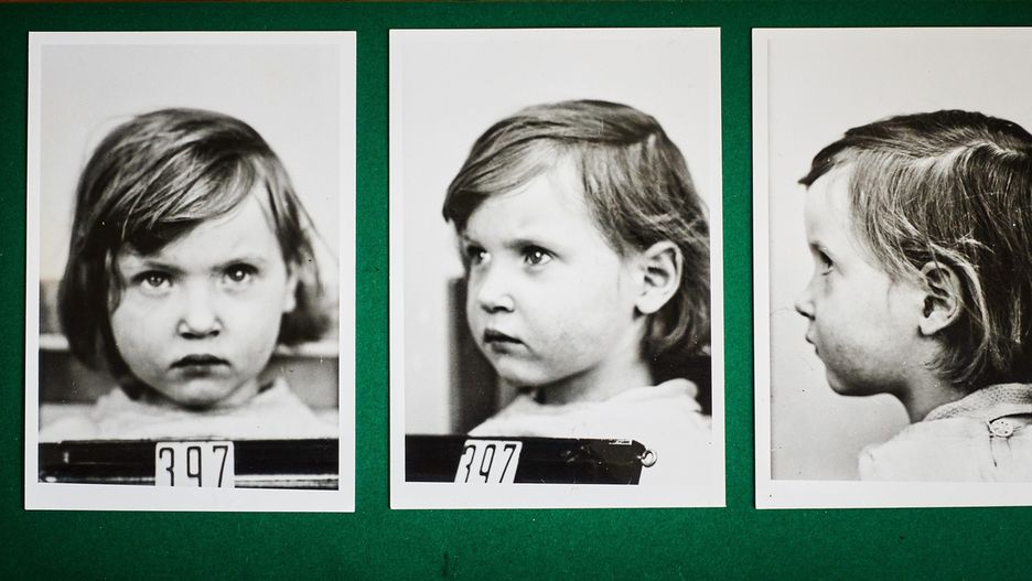 Basię Gajzler odpowiednio zbadano - zmierzono jej obwód czaszki, rozstaw oczu. Obfotografowano i nadano jej numer 397