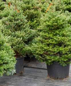 Dariusz Bruncz: Jezus kocha brudne okna