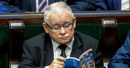 Światowy Dzień Kota 2020. Jarosław Kaczyński o swoich pupilach i winogronie