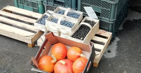 Tradycyjne łubianki mogą być groźne dla zdrowia. A i tak kupujesz w nich owoce