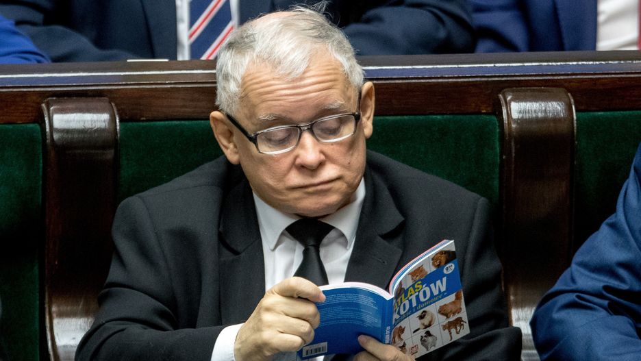 Światowy Dzień Kota 2020. Jarosław Kaczyński czytający Atlas Kotów podczas posiedzenia Sejmu w 2017 roku