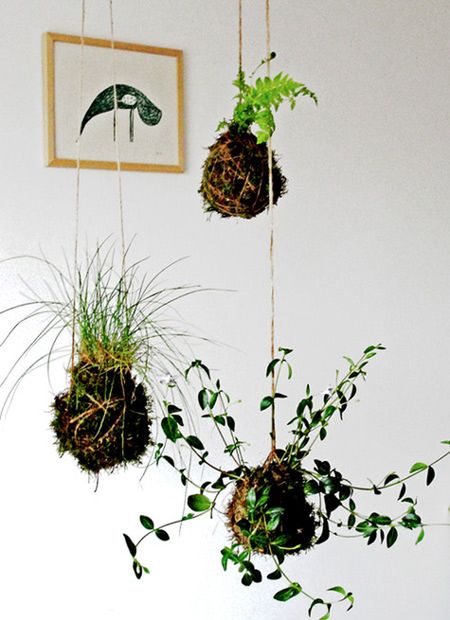 Wonderful String Gardens