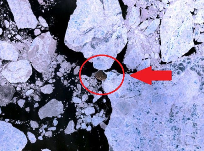 Wyspa Hans, Ocean Arktyczny (fot. NASA / Wikipedia.org, domena publiczna) 