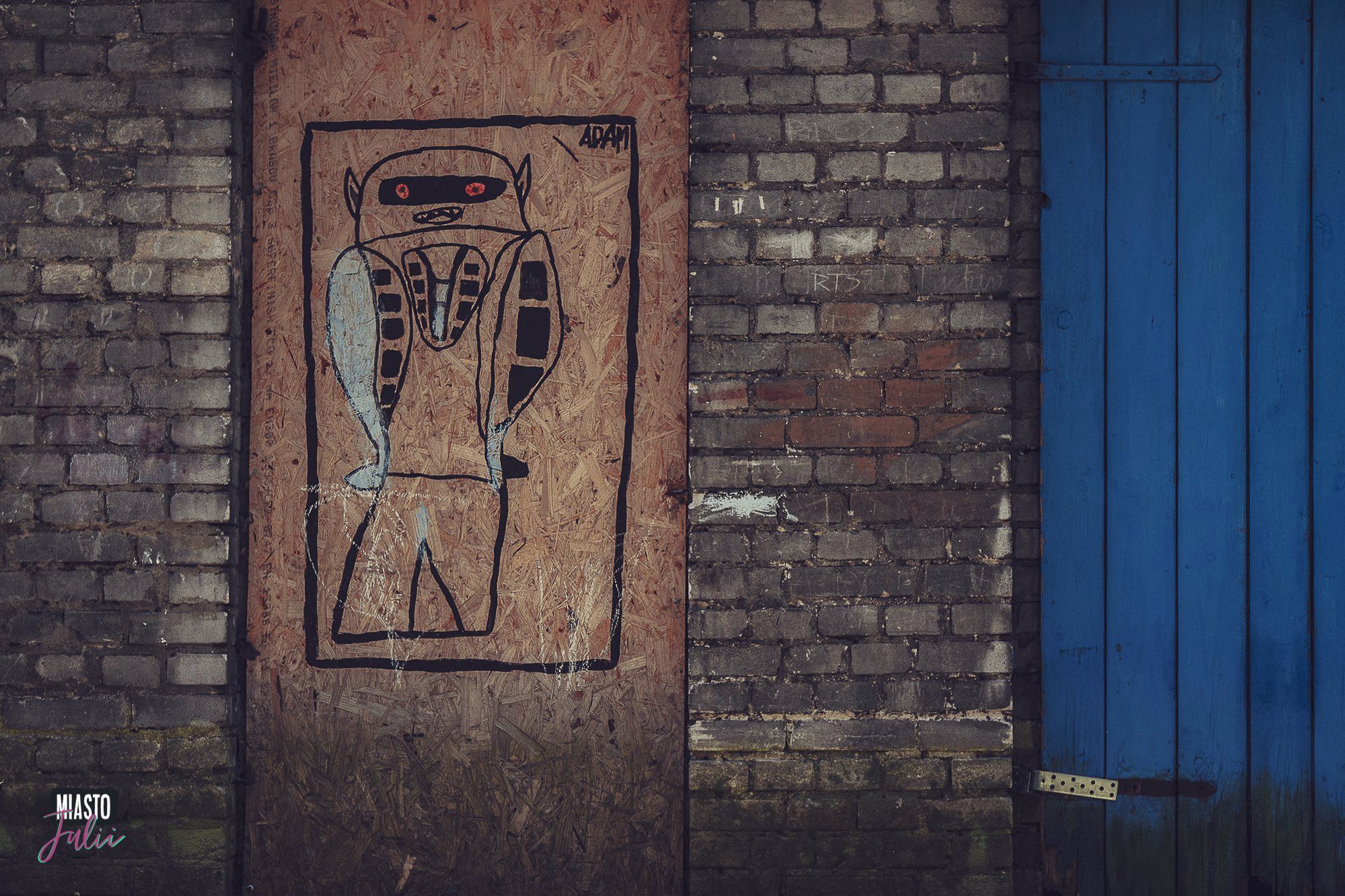 Zdjęcie z ul. Piotrkowskiej 