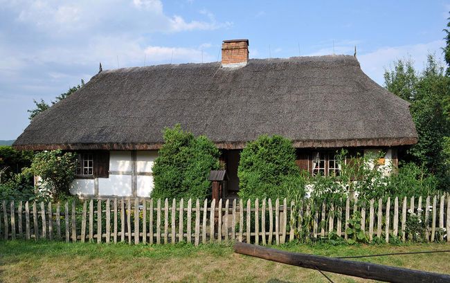 Obraz