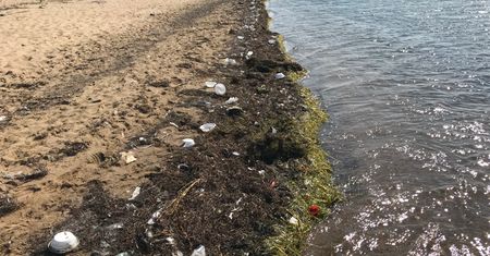 Plaża w Gdańsku Sobieszewie. Koszmarny widok