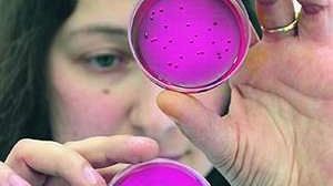 Plotka o terrorystycznym zatruciu wody