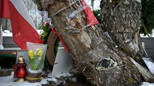 Znicze i kwiaty złożone pod złamaną brzozą, o którą zaczepił prezydencki TU-154M