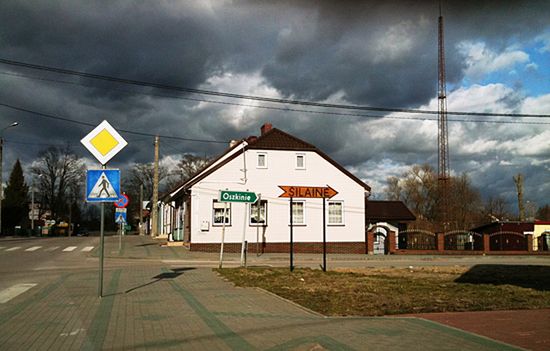 Obraz