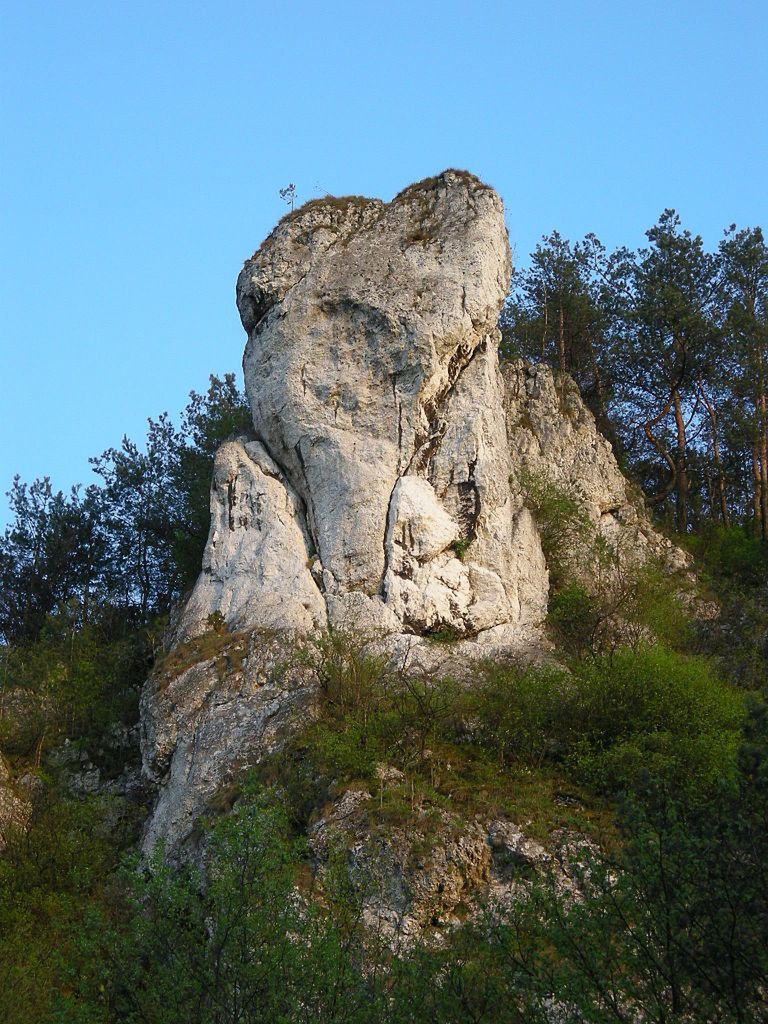 Obraz