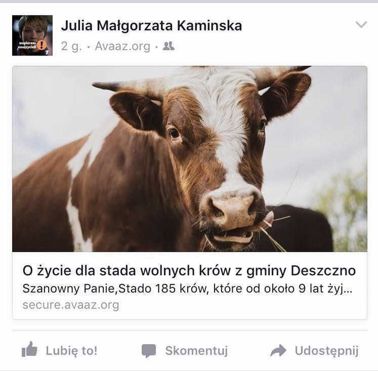 Julia Kamińska - gwiazdy bronią wolnych krów