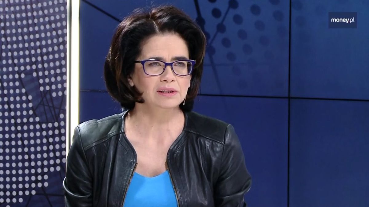 Anna Streżyńska kpi i z zarzutów posła PO, i z odpowiedzi resortu cyfryzacji