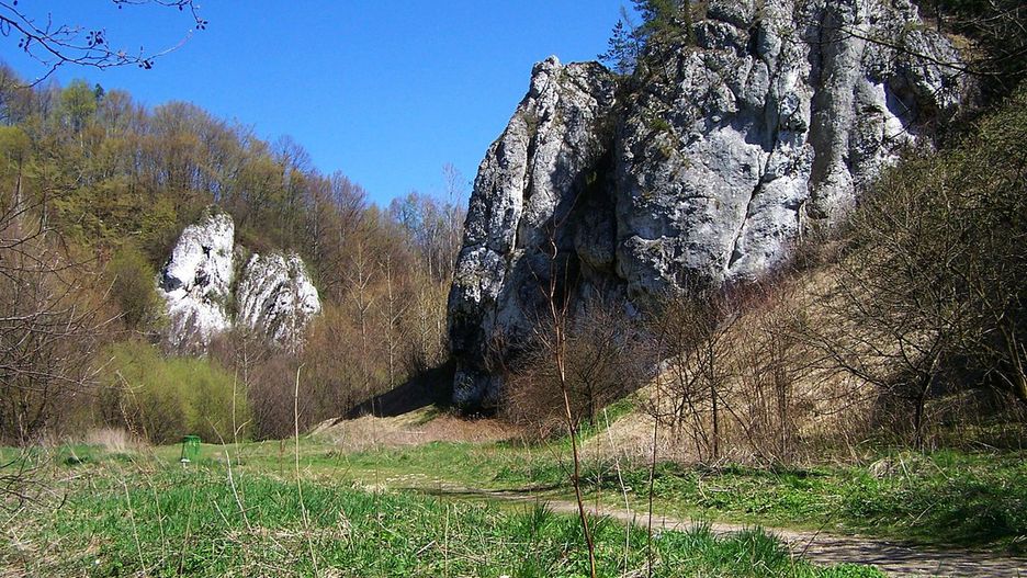 Obraz