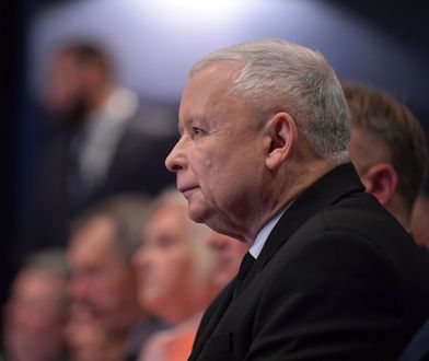 Sondaż. Narodowcy przed Nowoczesną, PiS przebił 40 proc.