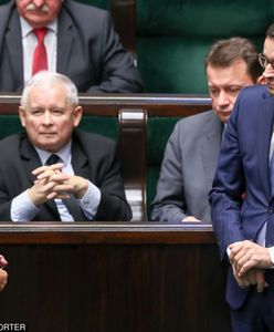Kaczyński i Morawiecki to jedna rodzina? Sięgnięto do drzewa genealogicznego