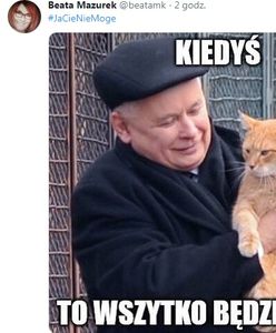 Rzeczniczka PiS "wygrała w internety". Wrzuciła mema prezesa PiS z kotem
