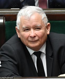 Sondaż. PiS wciąż na czele, tylko trzy partie do europarlamentu