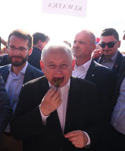 Jarosław Kaczyński na pikniku. Degustował regionalne przysmaki