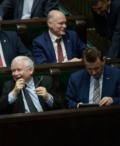 Kukiz'15 poza Sejmem, PiS dalej wysoko. Nowy sondaż
