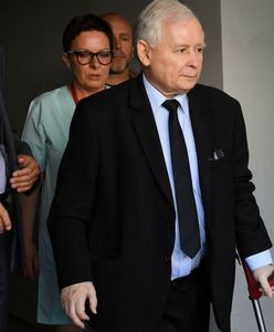 Jarosław Kaczyński poświęca kolano dla wyborów. Nowy przeciek o operacji