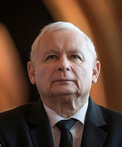 Wiejas: "Srebrna, Brejza, Falenta - Kaczyński ujeżdża kilka byków (Opinia)