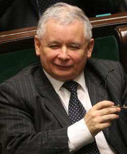 Nowoczesna nie wchodzi do Sejmu, PiS jest coraz mocniejszy. Nowy sondaż