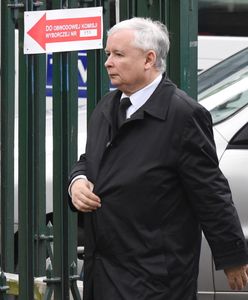 Na razie nikt nie zastąpi prezesa. "Niedźwiedzia boli kolano, ale poza tym nie brak mu sił"