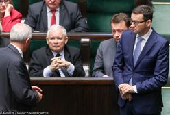 Kaczyński i Morawiecki to jedna rodzina? Sięgnięto do drzewa genealogicznego