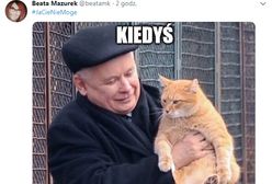 Rzeczniczka PiS "wygrała w internety". Wrzuciła mema prezesa PiS z kotem