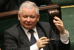 Nowoczesna nie wchodzi do Sejmu, PiS jest coraz mocniejszy. Nowy sondaż