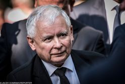 PiS ma pierwsze miejsce w kieszeni. Najnowszy sondaż