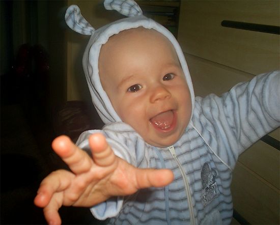 Obraz