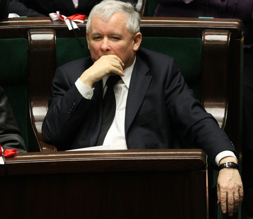 Jarosław Kaczyński broni zwierząt futerkowych. Prawicowy publicysta nazywa to "narracją skrajnego lewactwa"