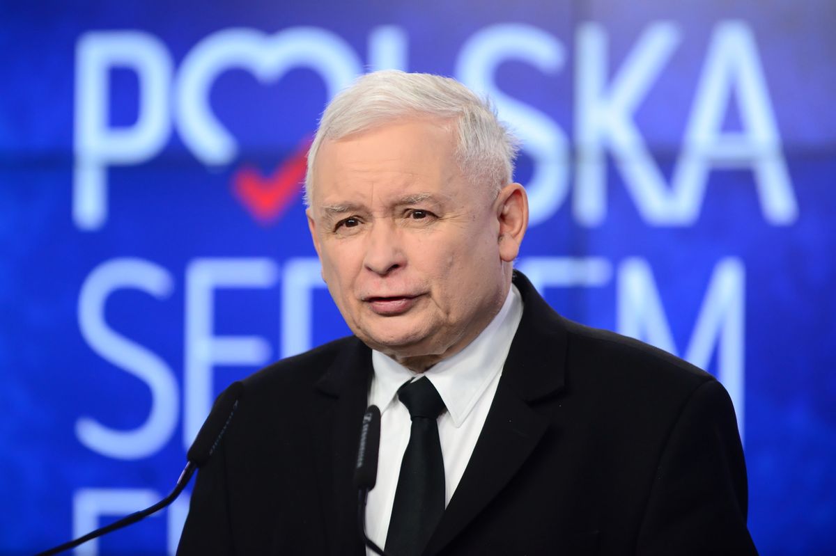 Dzikie krowy z Deszczna. Jarosław Kaczyński zabrał głos