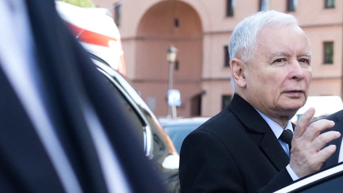 Ani elektrycznego, ani hybrydowego auta nie ma żadna partia polityczna. Wolą skody