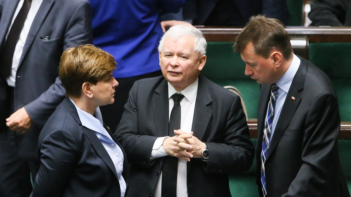 Domyślny opis zdjęcia na stronę główną