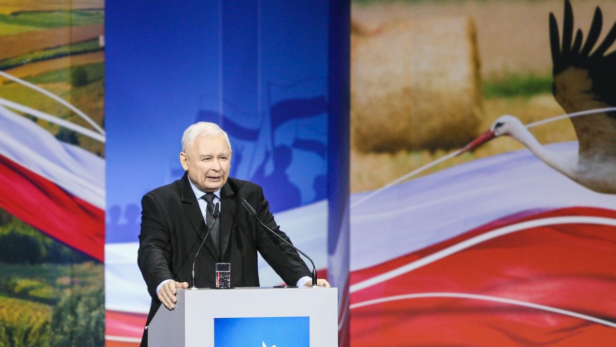 Choć partie dużo o gospodarce mówią, to ich programy niewiele pomogą w jej rozwoju