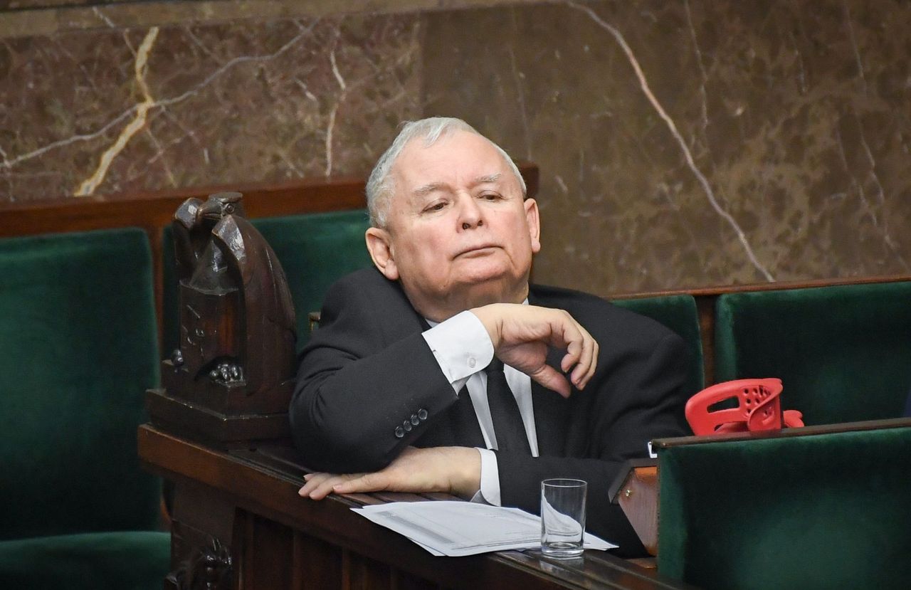 PiS na czele, ale słabnie. Jarosław Kaczyński podgryzany przez Konfederację [BADANIE]