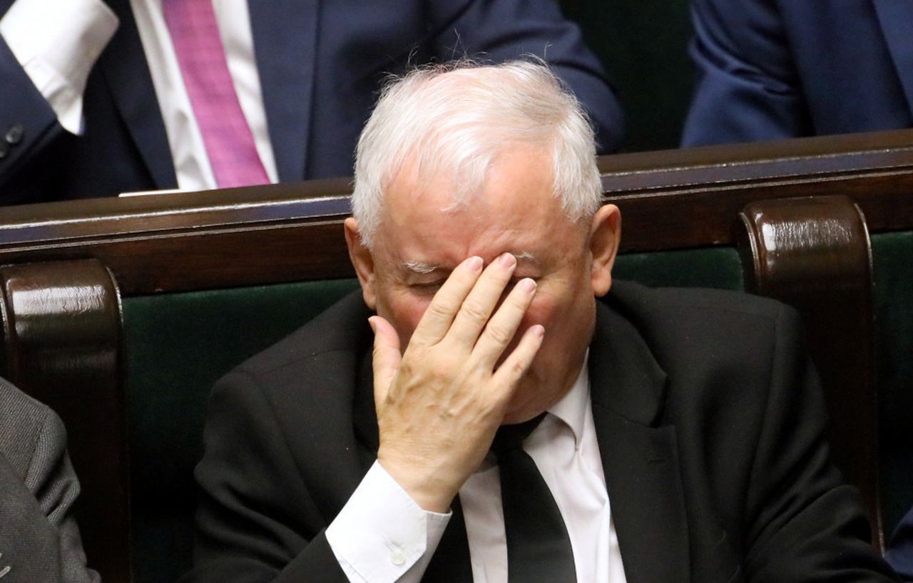 Majmurek: Wygrał Tomasz Grodzki. Dla Kaczyńskiego "nowe" w Senacie to jak cierń w łapie lwa (OPINIA) 