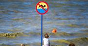 Sinice nie tylko nad Bałtykiem. Zalew Zegrzyński z zakazem kąpieli